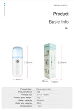 Load image into Gallery viewer, Mini USB Face Steamer
