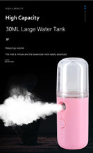 Load image into Gallery viewer, Mini USB Face Steamer
