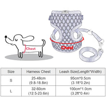 Load image into Gallery viewer, Rhinestone Mesh Cat Harness And Leash Set
